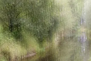 Long Time Exposure Photography Imprime: Deciduous forest on a stream, blurred