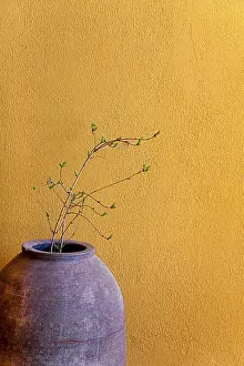 Deserted Studio Imprime: Decoration