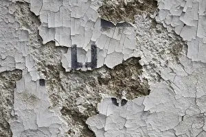 Deserted Urban Landscape Photography Imprime: Decrepitude of a wall