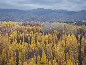 Autumnal Mountain View Imprime: Default