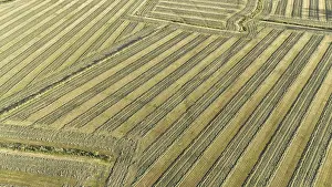 Agricultural Landscapes Imprime: Default