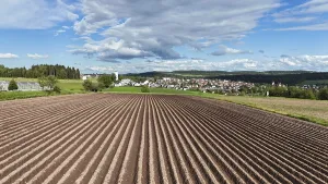 Deserted Field Cultivation Imprime: Default