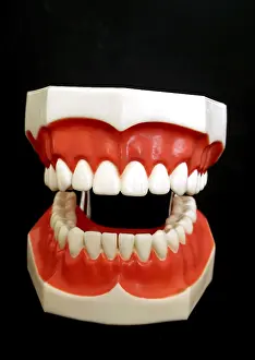 Oral Hygiene Icon Imprime: Denture model