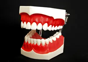 Oral Hygiene Symbol Imprime: Denture model