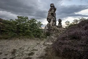 Harz Mountains Rock Formation Imprime: Devil's Wall, heather in front of it