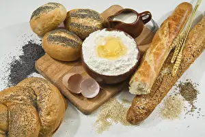 Different Kinds Of Bread Imprime: Different kinds of bread on a studio background