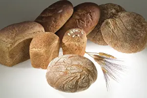 Different Kinds Of Bread Imprime: Different kinds of bread on a studio background