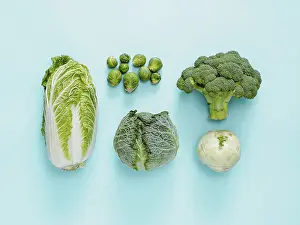Brussels Sprouts Nutrition Imprime: Different types of cabbage - broccoli