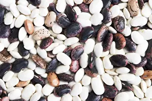Dried Beans Imprime: Different types of dried beans