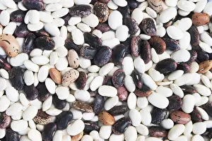 Dried Beans Imprime: Different types of dried beans