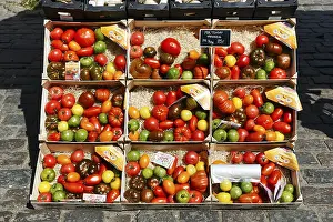 Colorful Vegetable Selection Imprime: Different types of old tomatoes in boxes