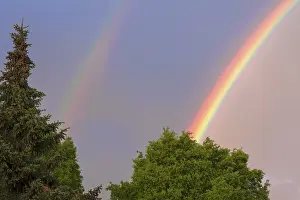 Southern Germany Weather Phenomenon Imprime: Double rainbow, partial view, with trees