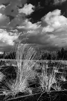 Overcast Cloudy Skies Europe Imprime: Dramatic clouds forming over a former peat bog