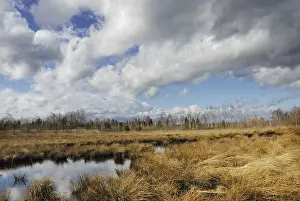 Dramatic Cloud Formation Imprime: Dramatic clouds forming over a former peat bog
