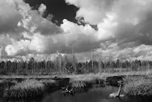 Cloudy Atmospheric Mood Imprime: Dramatic clouds forming over a former peat bog