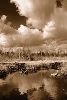 Cloudy Atmosphere Bavaria Imprime: Dramatic clouds forming over a former peat bog