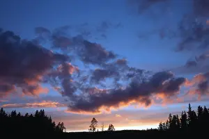 Evening Cloud Formations Imprime: Dramatic clouds at sunset over pine trees and forests