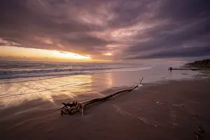 Deserted Sandy Beach Scene Imprime: Dramatic cloudy sky at sunset, tree trunk on the beach