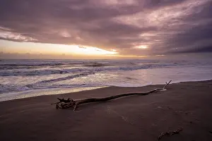 Dramatic Sunset Imprime: Dramatic cloudy sky at sunset, tree trunk on the beach