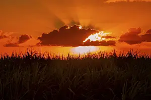 African Evening Atmosphere Imprime: Dramatic sunset behind clouds, Chebel