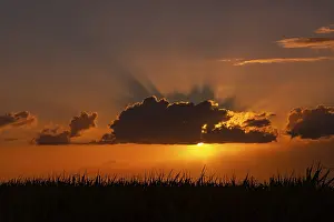African Desert Landscapes Imprime: Dramatic sunset behind clouds at Chebel
