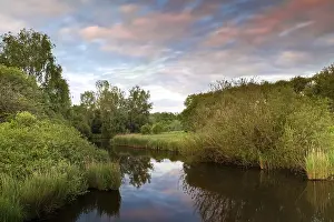 Deserted River Scene Imprime: Dramatic sunset over river between trees