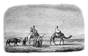 Empty Uninhabited Scene Imprime: Drawing by Marilhat, for after his chart sets