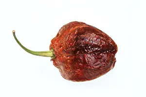 Uninhabited Garden Scenes Imprime: Dried chilli fruit