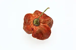 Uninhabited Landscapes Imprime: Dried chilli fruit