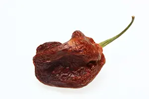 Vegetable Parts Imprime: Dried chilli fruit