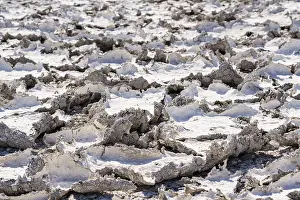 Namibia National Parks Imprime: Dried mud patterns with cracks on the ground