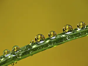 Waterfront With No One Imprime: Drop