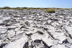 Climate Change Effects Imprime: Drought mud patterns with cracks