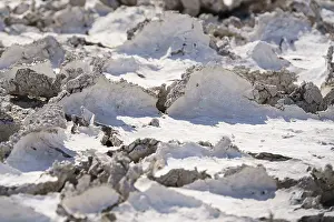 Climate Change Effects Imprime: Drought mud patterns with cracks on the ground
