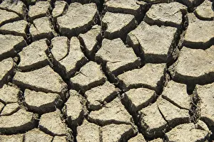 Northern German Coastline Imprime: Dry mudflat, torn up mudflat bottom