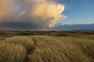 Dune Landscape Imprime: Dune Landscape with Thundercloud