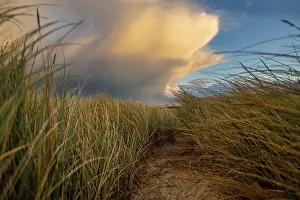 Dune Landscape Imprime: Dune Landscape with Thundercloud