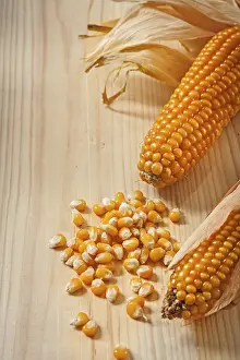 Gourmet Meal Ingredients Imprime: Ears of corn composition