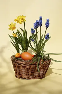 Spring Flowers Arrangement Imprime: Easter basket with easter eggs
