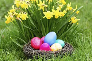 Springtime Landscape Photography Imprime: Easter, Easter eggs, Spring, Spring meadow