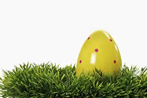 Empty Studio Background Photo Imprime: Easter egg on grass