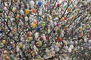 German Easter Traditions Imprime: Easter egg tree, Germany