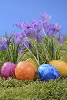 Spring Awakening Flowers Imprime: Easter eggs and crocus