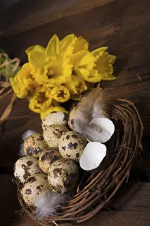Yellow Daffodil Blooms Imprime: Easter eggs and daffodils