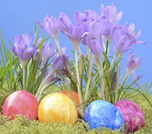 Early Spring Flowers Imprime: Easter eggs, Easter egg, eggs, Easter