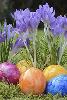 Spring Flowers Imprime: Easter eggs, Easter egg, eggs, Easter