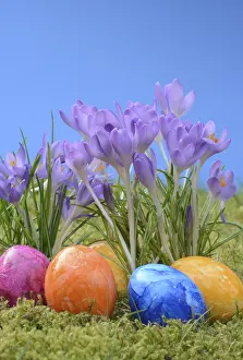Spring Flowers Imprime: Easter eggs, Easter egg, eggs, Easter