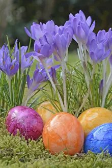 Spring Flowers Imprime: Easter eggs, Easter egg, eggs, Easter