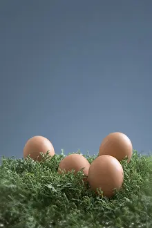 Easter Eggs In Grass Imprime: Easter eggs in the grass