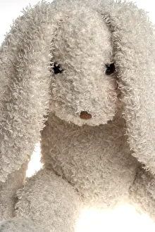 Easter Bunny Imprime: Easter rabbit
